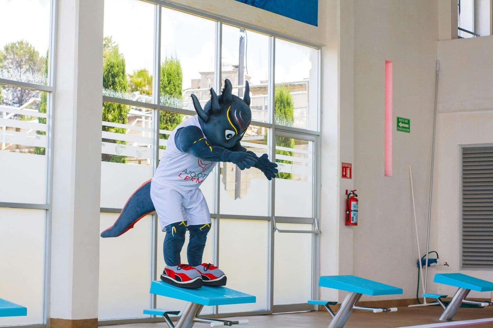 How To Choose A Mascot Manufacturer: A Complete Guide
